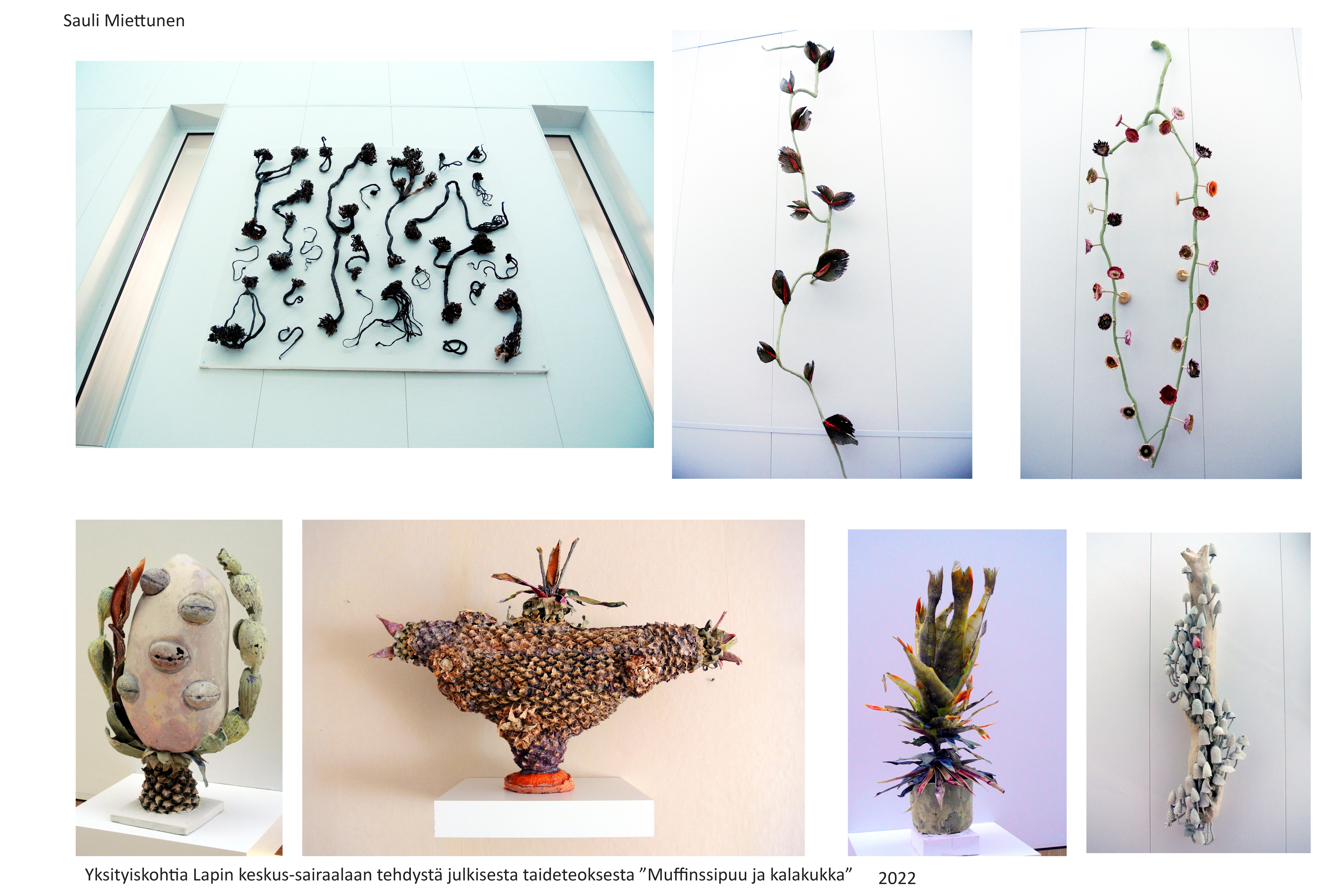 muffinssipuu ja kalakukka 4