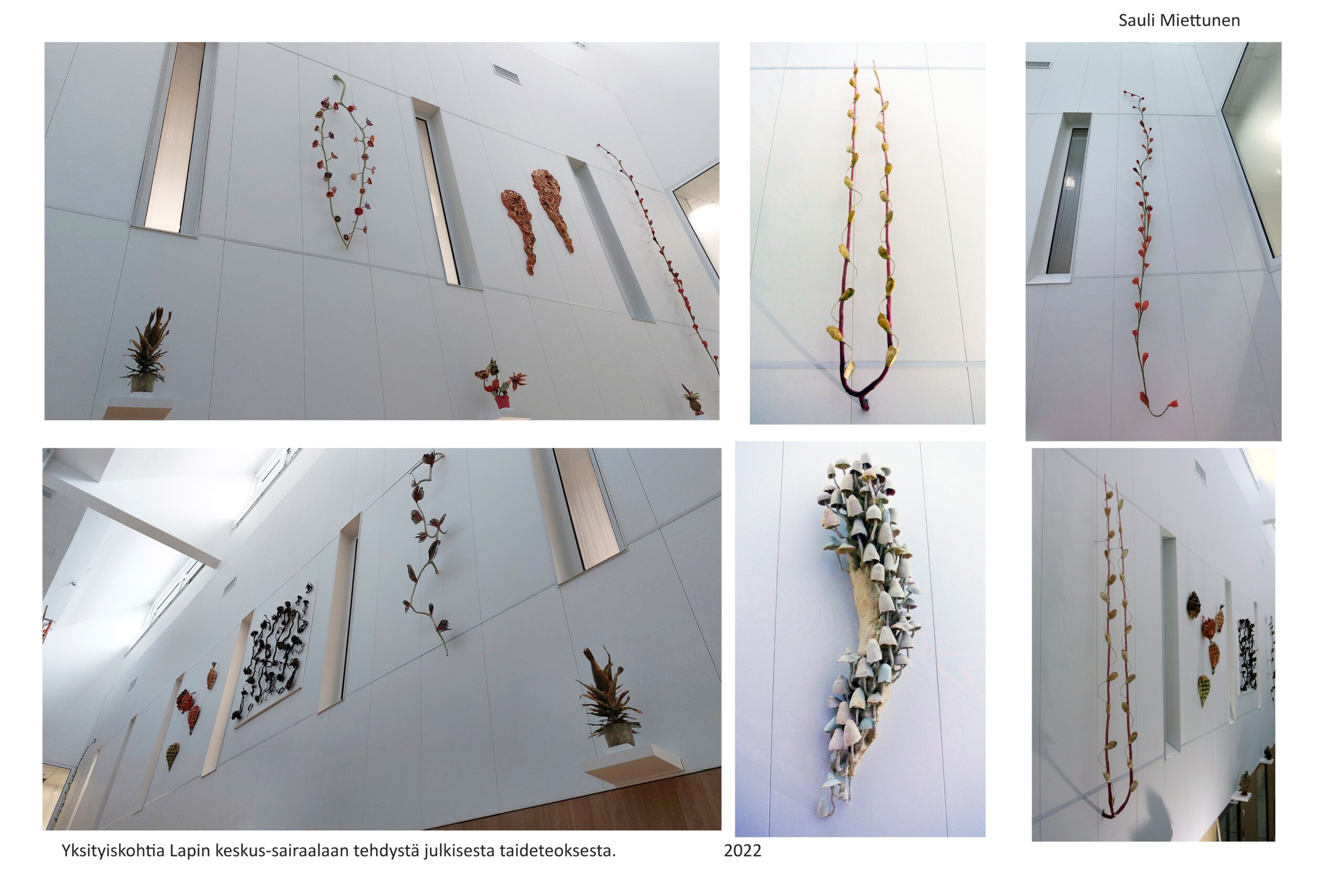 muffinssipuu ja kalakukka 5