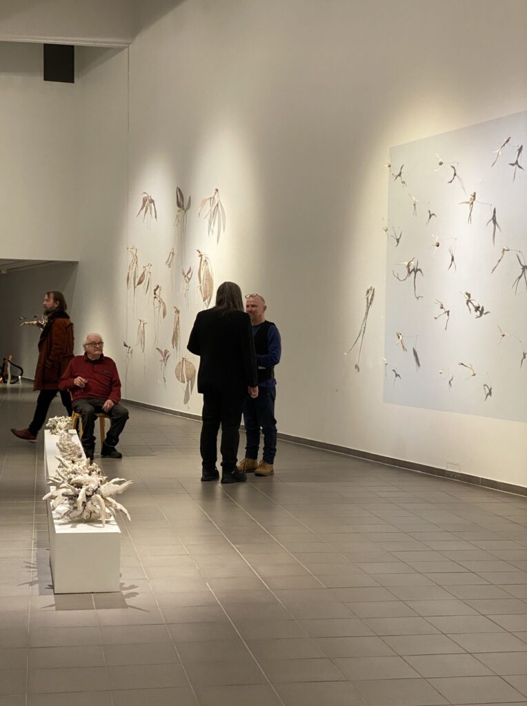 Kemin taidemuseossa Aatun ja Saulin näyttelynavajaisissa.
